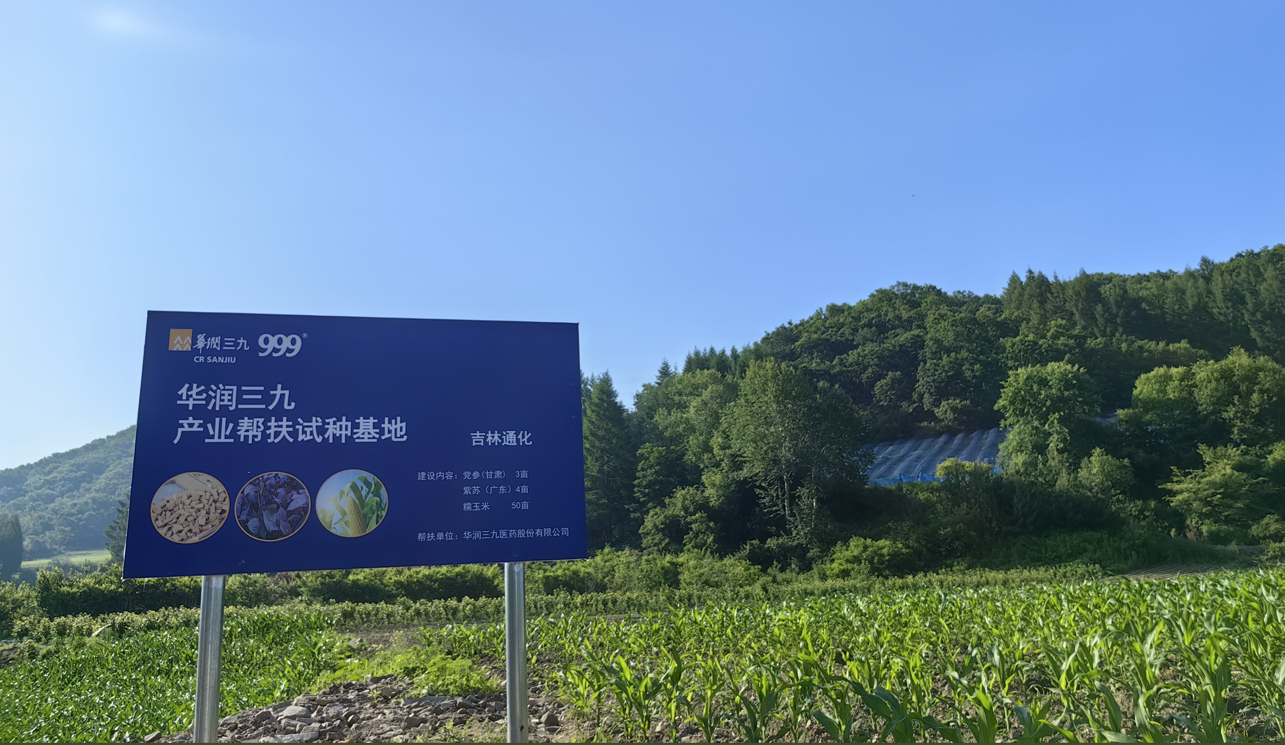 20250703-153432 20250703-153432.jpg